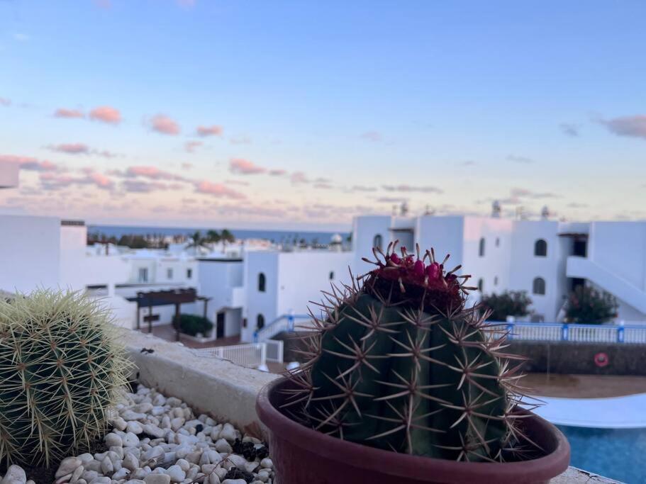 Apt 360º Panoramic View 科斯塔特吉塞 外观 照片
