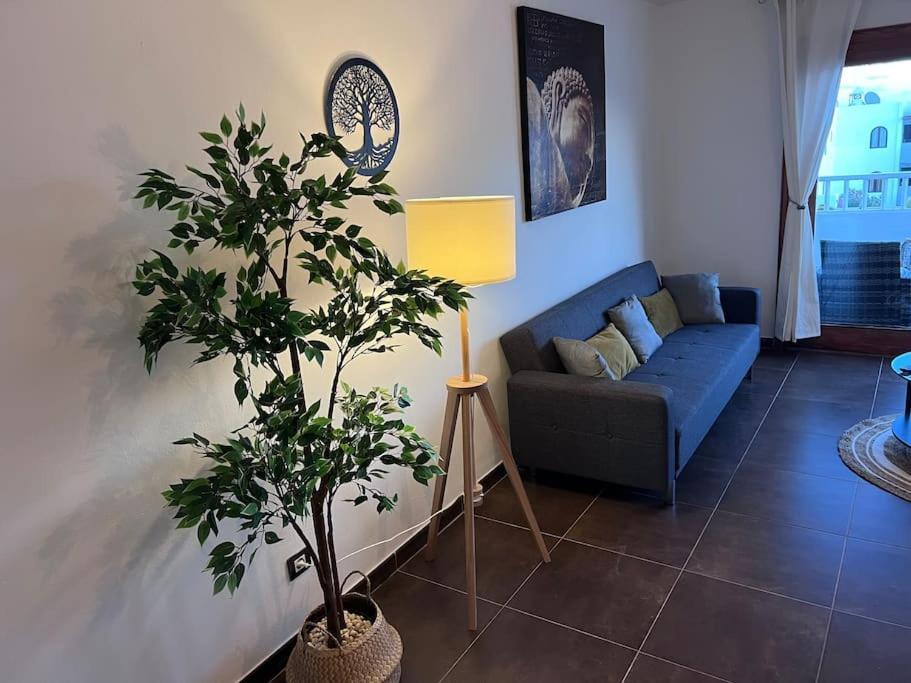 Apt 360º Panoramic View 科斯塔特吉塞 外观 照片